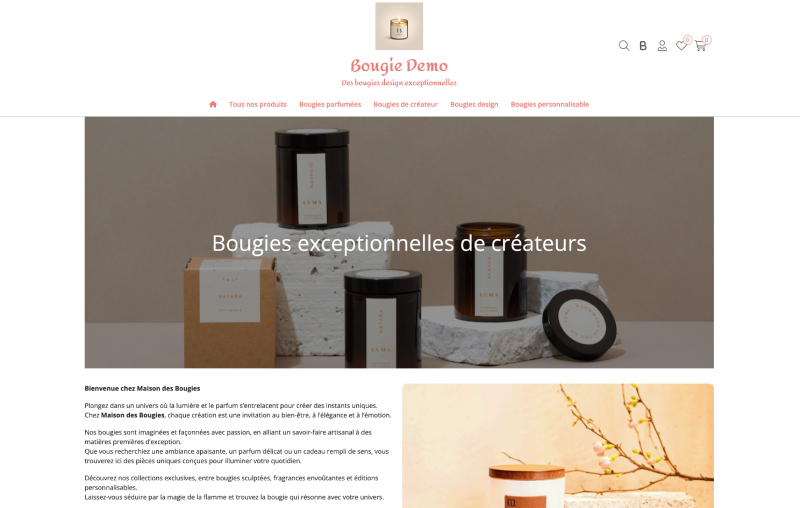 Étape 06 — Votre boutique est prête ! : capture d'écran de l'assistant de création eProShopping